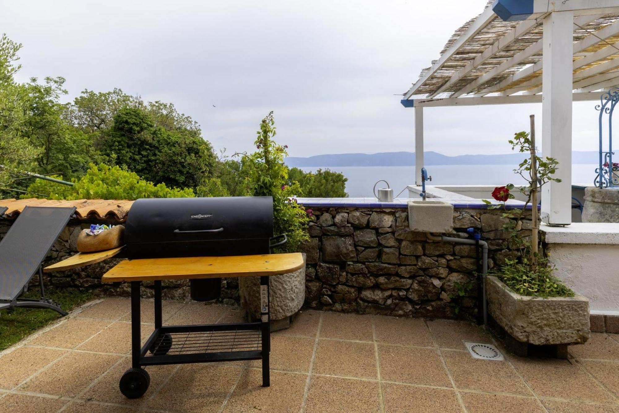 Villa Crni In Crni - Haus Fuer 6 Personen à Labin  Extérieur photo